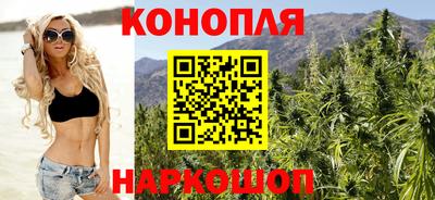 сатива Нарткала