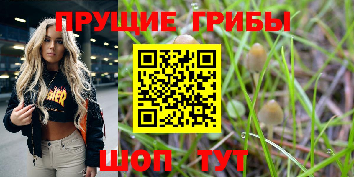 Галлюциногенные грибы Psilocybine cubensis  Вход с VPN  Галлюциногенные грибы GOLDEN TEACHER  Сызрань 
